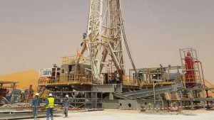 Pertamina dan Anak Perusahaannya